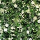 blumenwand-mieten-greenery-gruen-weiss-240x240cm-globaldesire